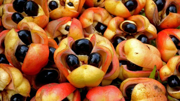 6 frutas e legumes totalmente diferentes que você não fazia ideia que existia