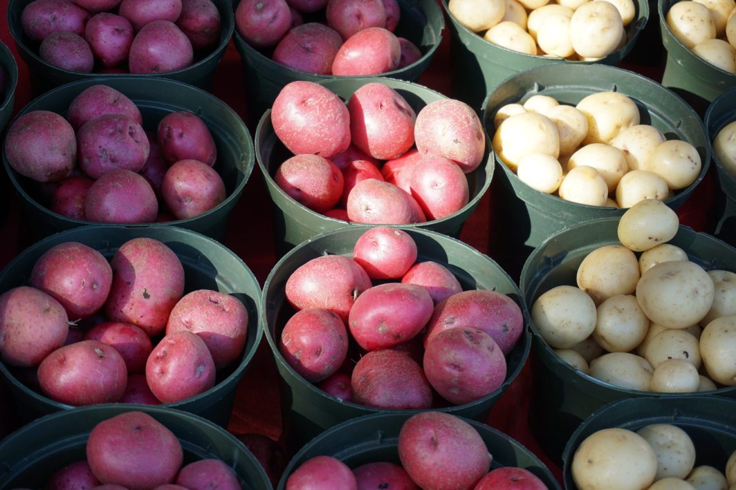 É por isso que não se deve guardar as batatas ao lado das cebolas