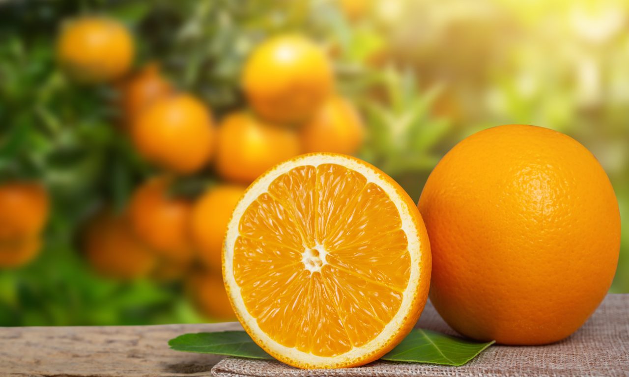 Conheça os benefícios que chupar laranja traz para saúde