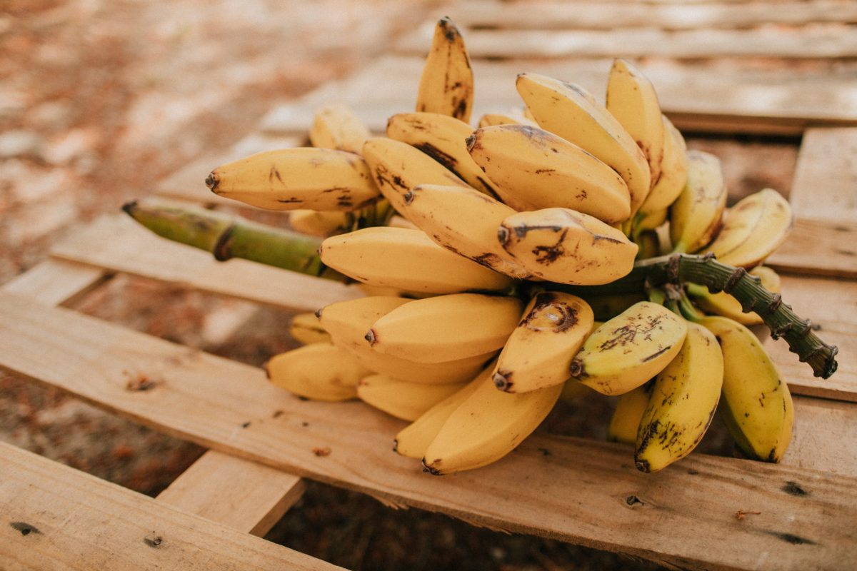 Esta é a lista de frutas que não precisam ir para geladeira e muitas pessoas colocam