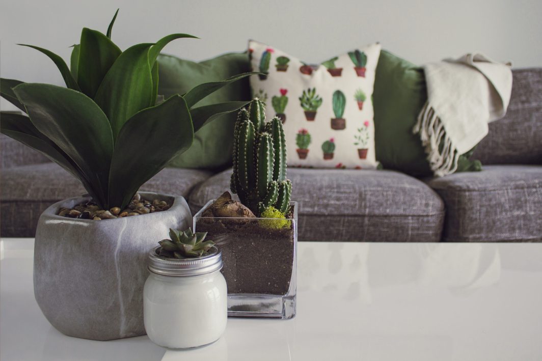 Feng shui diz o que acontece quando uma casa é decorada com plantas falsas